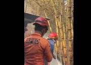 2 Ekor Sapi Mati dan 1 orang Terluka, Imbas Kebakaran Lahan di Kabupaten Semarang