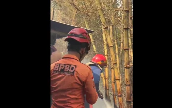 Kebakaran Lahan di Kabupaten Semarang