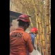 2 Ekor Sapi Mati dan 1 orang Terluka, Imbas Kebakaran Lahan di Kabupaten Semarang