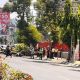 Tragedi Pohon Tumbang di Jalan Pandanaran, Disperkim Pastikan Pohon Sehat dan Siapkan Tali Asih