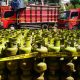 Polda Jateng Bongkar Penyalahgunaan BBM-LPG Rp10,82 Miliar, Pertamina Beri Sanksi 180 SPBU