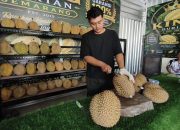 King Durian Semarang: Berawal dari Cinta pada “Raja Buah”, Kini Jadi Destinasi Pecinta Durian
