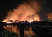 Kebakaran Lahan 10 Hektare di Dekat Mall 23 Semarang, Damkar Sebut Dipicu Pemancing Mabuk