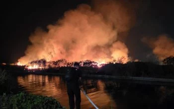 Kebakaran Lahan 10 Hektare di Dekat Mall 23 Semarang, Damkar Sebut Dipicu Pemancing Mabuk