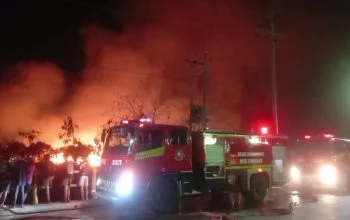 Lahan Kosong POJ Semarang Kebakaran, Polisi Periksa 6 Orang, Pembakar Semak Diringkus