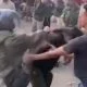 Viral Keributan Anak Punk dengan Massa di Tengaran Semarang, Berawal Ditegur Pedagang Cilok