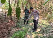 Bayi Laki-laki Ditemukan Nangis Tengkurap di Pekarangan Kosong Tlogomulyo Semarang, Kondisi Dirubung Semut