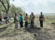 Cek Kesiapan Lokasi, Perhutani Blora Siapkan 10,7 Hektare Lahan untuk Tanam Jati 2026