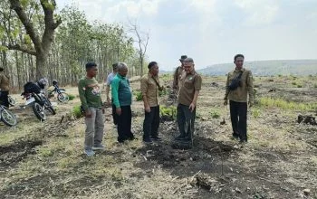 Perhutani Blora