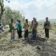 Cek Kesiapan Lokasi, Perhutani Blora Siapkan 10,7 Hektare Lahan untuk Tanam Jati 2026