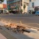 Pohon Tumbang Semarang