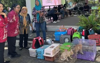 Vaksinasi Gratis