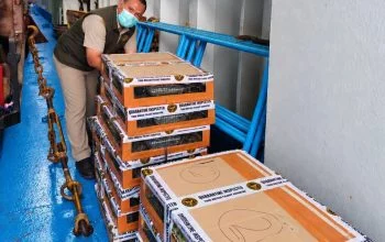 Bandel! Temuan 588 Burung Tanpa Dokumen di KM Kirana Asal Kalimantan, Ada Kacer, Kolibri, dan Kapas Tembak