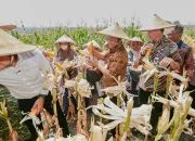 Saat Petani Jagung di Sukoharjo Minta Ahmad Luthfi Bangunkan Sumur