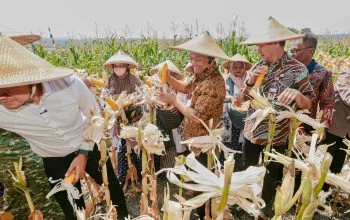 Saat Petani Jagung di Sukoharjo Minta Ahmad Luthfi Bangunkan Sumur
