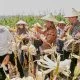 Saat Petani Jagung di Sukoharjo Minta Ahmad Luthfi Bangunkan Sumur