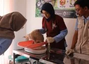 Peringati Hari Rabies Sedunia, 46 Kucing di Blora dapat Vaksinasi Gratis