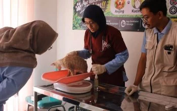 Vaksinasi anti rabies di Blora