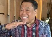 Parliamentary Threshold, Mantan Hakim MK Arief Hidayat; Partai Baru Tetap Bermunculan