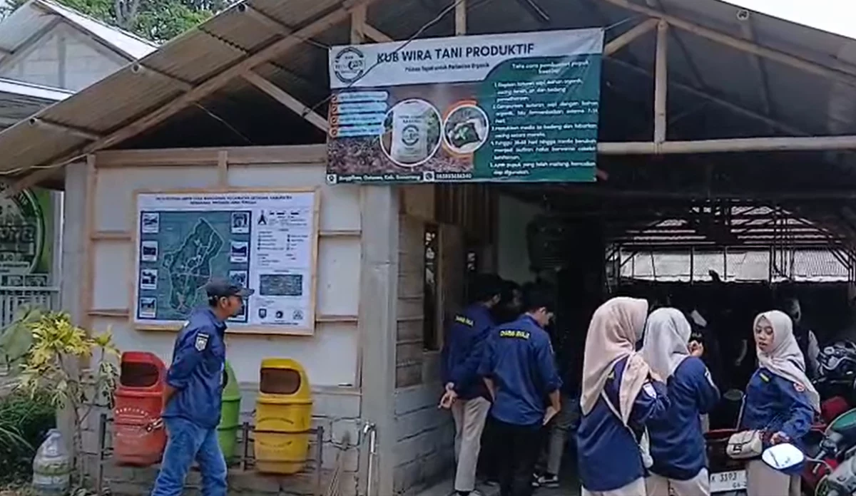 Kelompok Usaha Bersama (KUB) Wira Tani Produktif Karang Taruna Desa Manggihan
