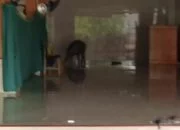 Babi Hutan Ngamuk Masuk Masjid di Blora, Warga Terpaksa Tembak Mati