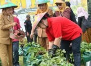 Panen Ubi Jalar di Lahan 1.000 Meter Persegi, Agustina Dorong Warga Semarang Perkuat Urban Farming
