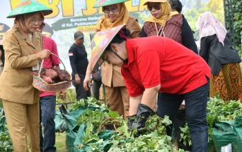 Panen Ubi Jalar di Lahan 1.000 Meter Persegi, Agustina Dorong Warga Semarang Perkuat Urban Farming