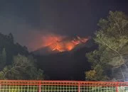 Meluas! BPBD Jateng Sebut 36 Titik Api Terdeteksi di Gunung Lawu hingga Temuan Sisa Pembakaran Arang