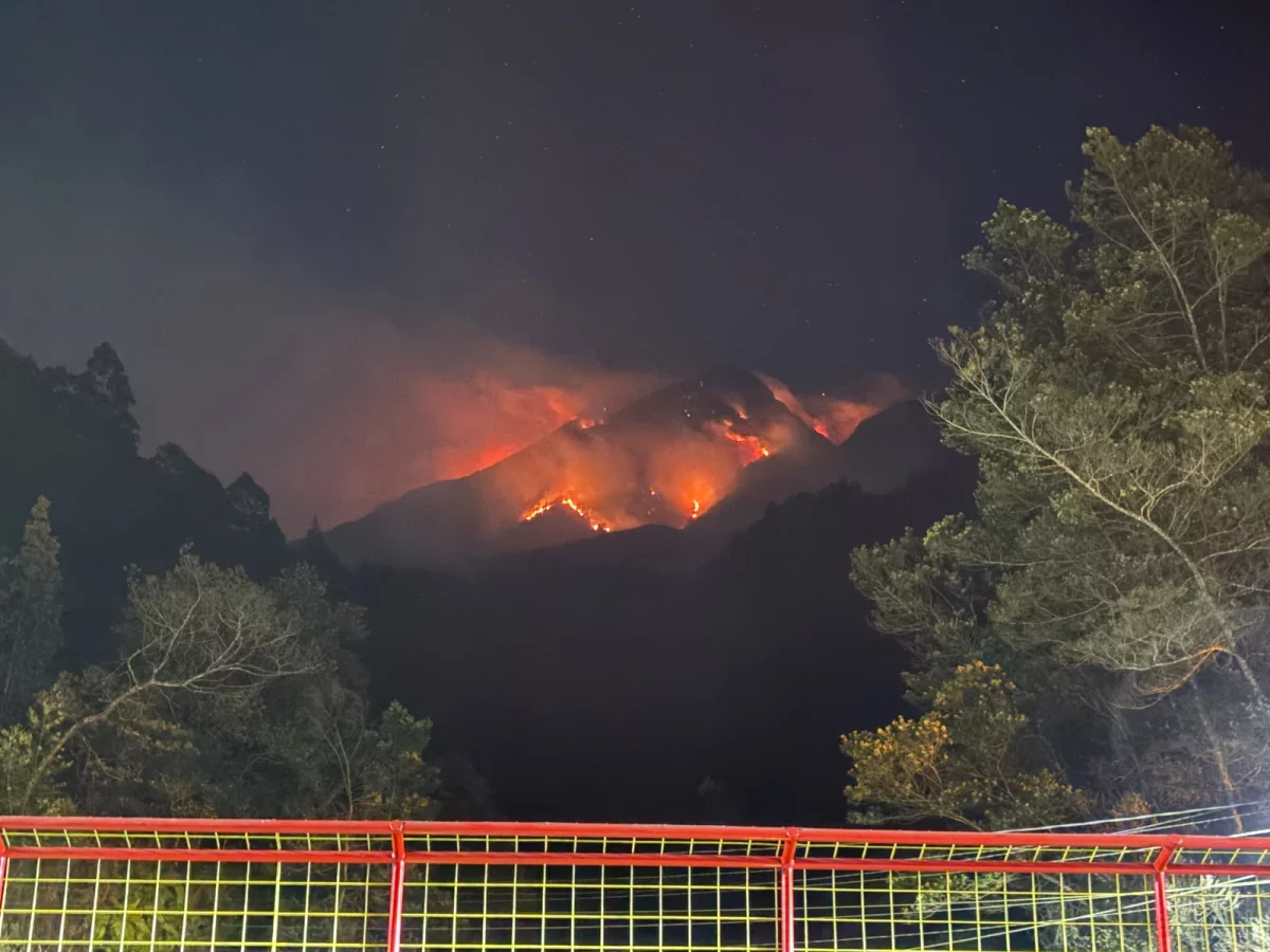 Karhutla Gunung Lawu
