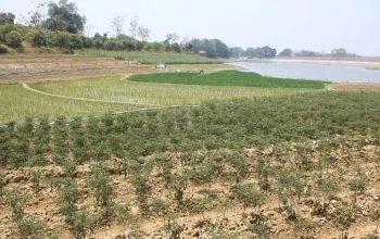 Waduk Tempuran