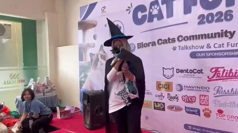 Fashion Show Kucing