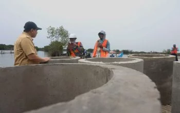 Hybrid Seawall