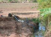 Kemarau Panjang, Biaya Solar Pompa Air Terus Bebani Petani di Kabupaten Semarang