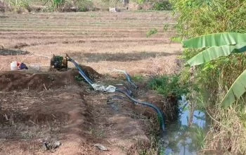 Kemarau Panjang, Biaya Solar Pompa Air Terus Bebani Petani di Kabupaten Semarang