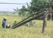 Puting Beliung Terjang Cepu Blora, Empat Tiang Listrik Sampai Patah