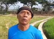 Cerita Petani di Pinggiran Rawa Pening, Butuh Rp800 Ribu per Bulan untuk Mengairi Sawah