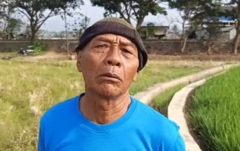 Cerita Petani di Pinggiran Rawa Pening, Butuh Rp800 Ribu per Bulan untuk Mengairi Sawah