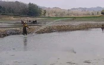 Waduk Tempuran Blora Nyaris Mengering, Irigasi 420 Hektare Sawah Mandek
