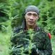 Profil Kapolda Jateng Roy Hardi Siahaan, Kerja Bareng Kapolri hingga Gemar Olahraga