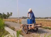 Warga Blora Cari Air hingga ke Tengah Sawah, 149 Desa Krisis Air Bersih