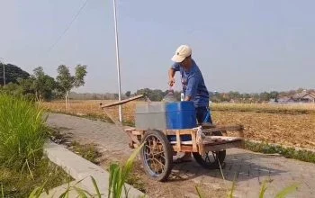 Warga Blora Cari Air hingga ke Tengah Sawah, 149 Desa Krisis Air Bersih