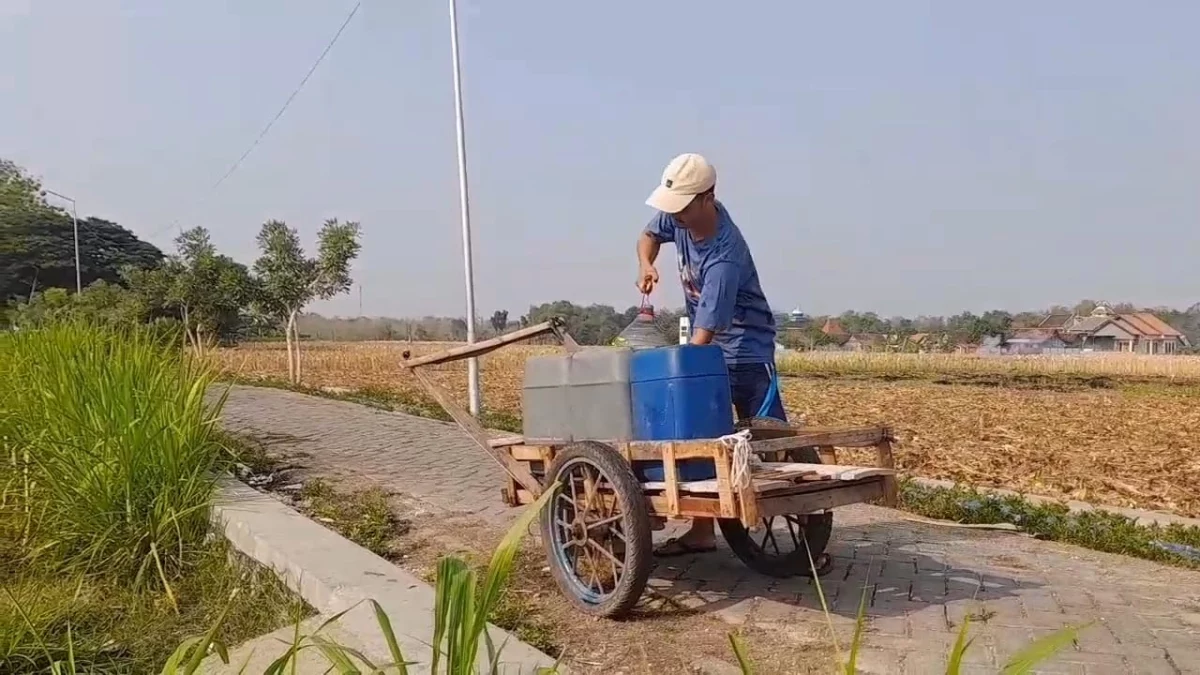 Warga Kelurahan Tambahrejo, Kecamatan Blora, Kabupaten Blora sedang mengambil air di sumur tegah sawah, Senin, 12 Oktober 2026. (Heri/beritajateng.tv)