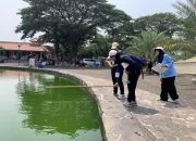 Perkuat Literasi Numerasi, 108 Guru SMP Semarang Ikuti Lomba Kompetensi STEM di MAJT 