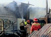 Kronologi Kebakaran Kandang Sapi di Randuacir Salatiga, Tiga Sepeda Motor Tinggal Kerangka