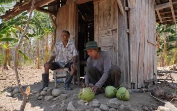 Petani Kelapa di Kabupaten Semarang Terjamah Program Petani Gajian
