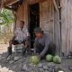 Petani Kelapa di Kabupaten Semarang Terjamah Program Petani Gajian