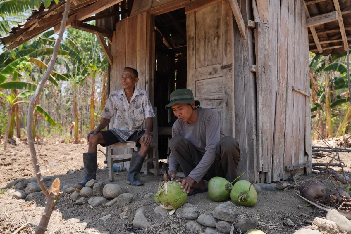  Petani kelapa di Desa Jatisari, Kecamatan Pringapus, Kabupaten Semarang, Rabu, 21 Oktober 2026. (Foto: Dok. Pemprov Jateng)