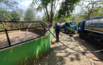 Kolam Buaya di Semarang Zoo Kering, Manajemen Datangkan 110 Ribu Liter Air