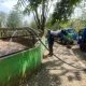 Kolam Buaya di Semarang Zoo Kering, Manajemen Datangkan 110 Ribu Liter Air